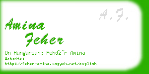 amina feher business card